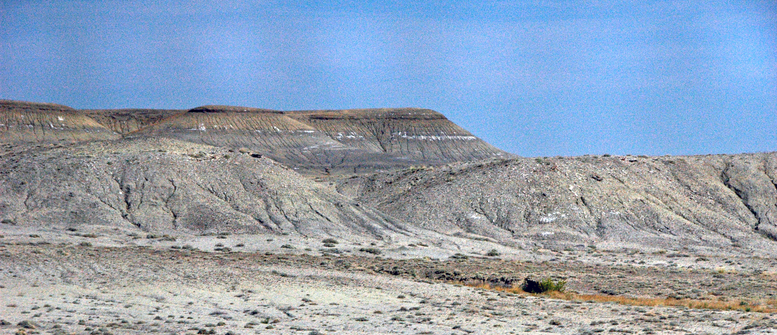 Mancos Shale badlands in the Book Cliffs region of eastern Utah, showing grey eroded slopes
