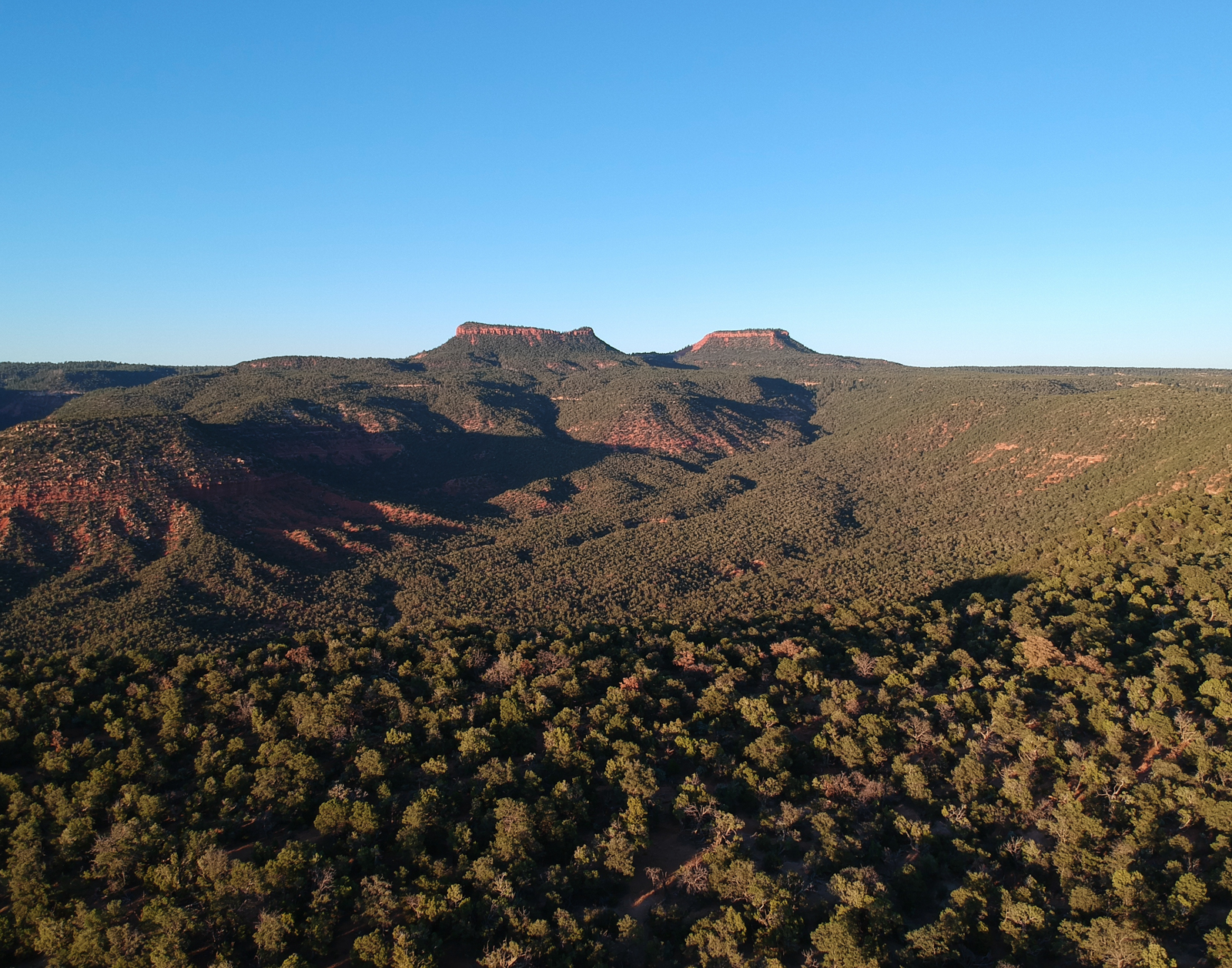 The Bears Ears buttes in Bears Ears National Monument, southeastern Utah
